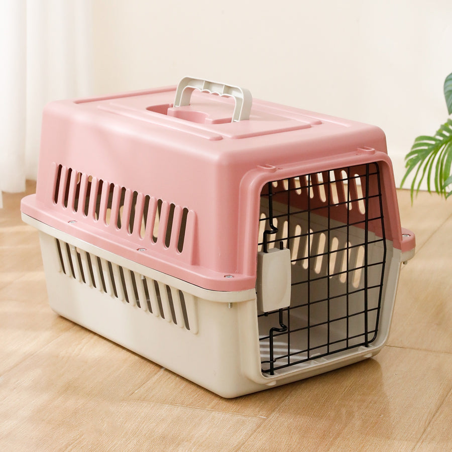 Klein hond kat reis draagtas ademend