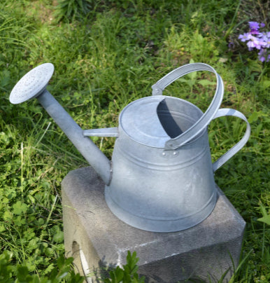 Ruime inhoud verweerd gieter bloem water pot