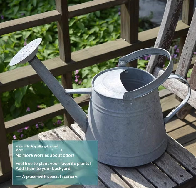 Ruime inhoud verweerd gieter bloem water pot