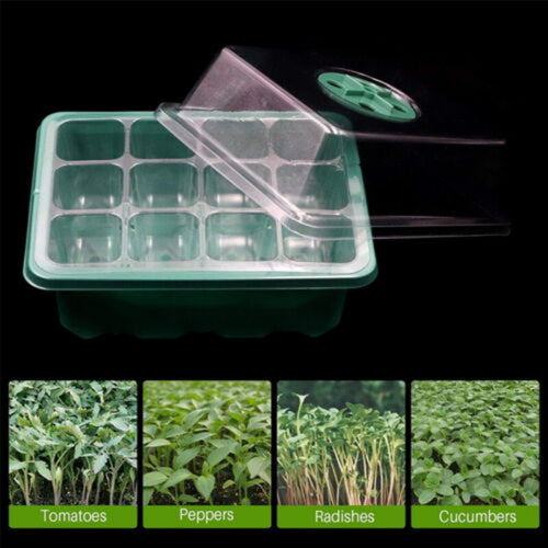 10 20 set 12 hole plant seed