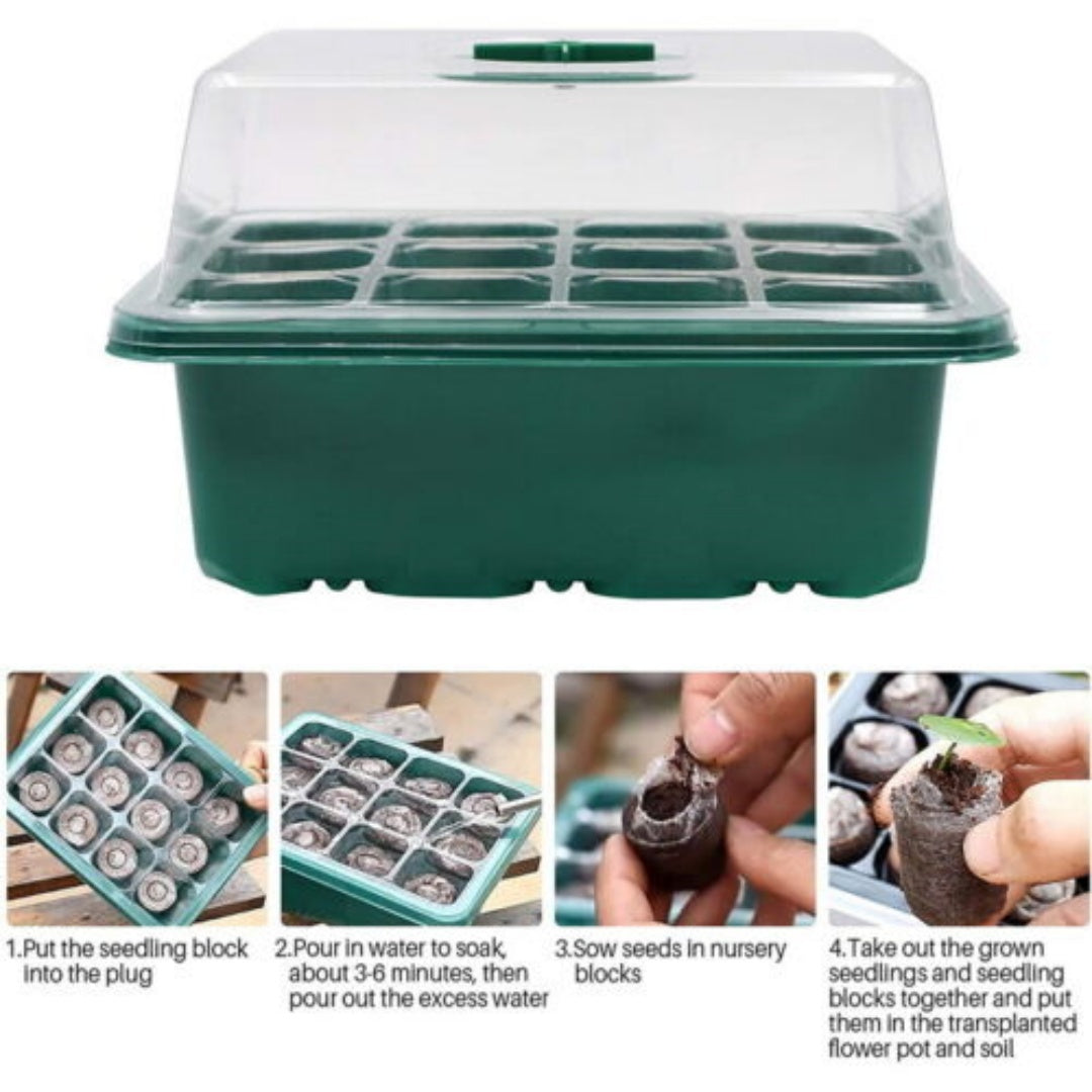 10 20 set 12 hole plant seed