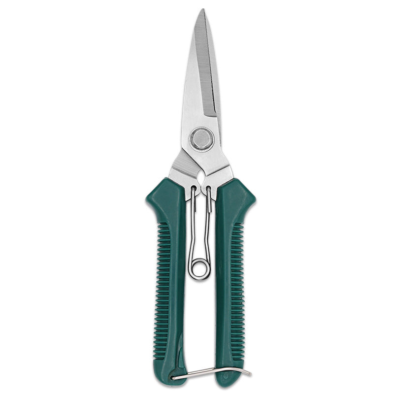 Snoei shears fruit boom tuinieren schaar