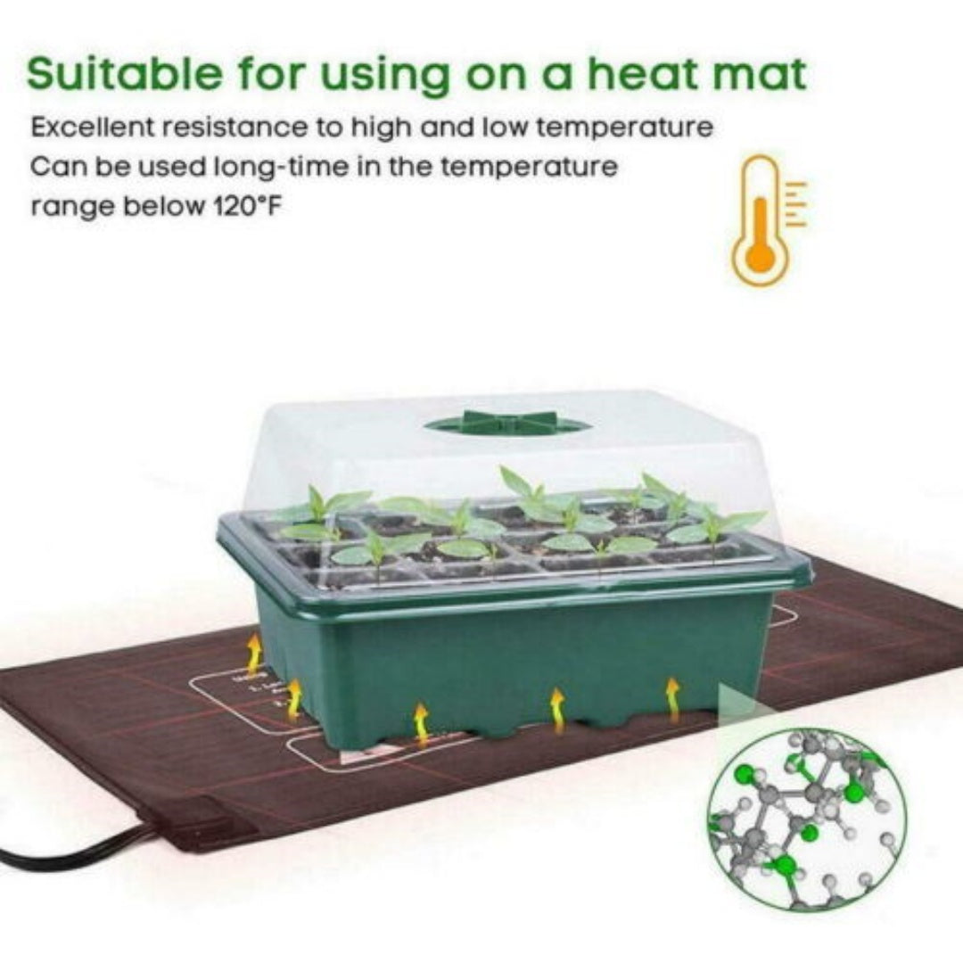 10 20 set 12 hole plant seed