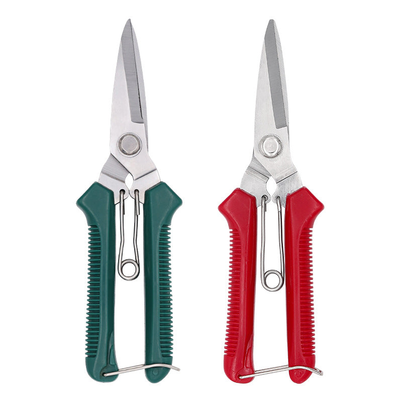 Snoei shears fruit boom tuinieren schaar